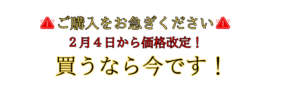 ご購入をお急ぎください！２月４日から価格改定！買うなら今です！